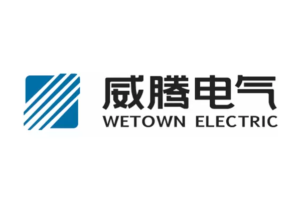 威腾电气集团股份有限公司